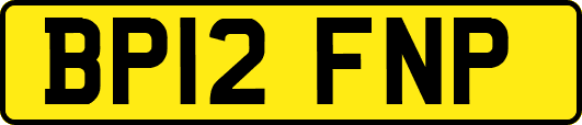 BP12FNP