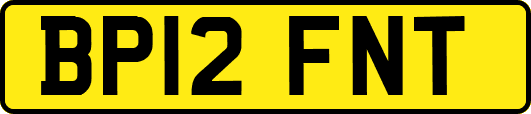 BP12FNT