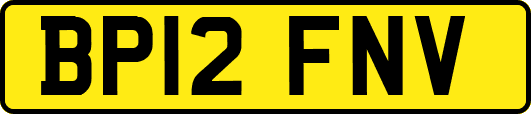 BP12FNV