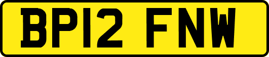 BP12FNW