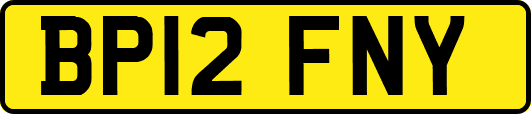 BP12FNY