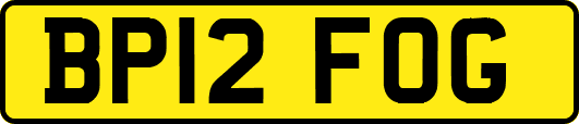 BP12FOG