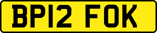 BP12FOK