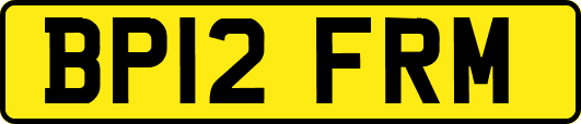 BP12FRM