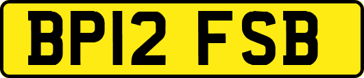 BP12FSB