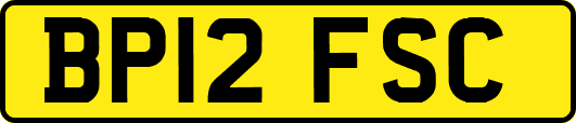 BP12FSC