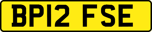 BP12FSE