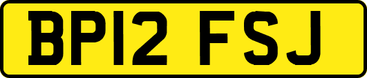 BP12FSJ