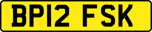 BP12FSK