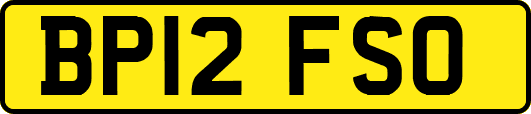 BP12FSO