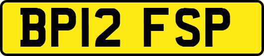 BP12FSP