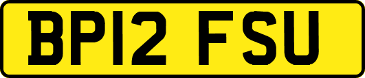 BP12FSU