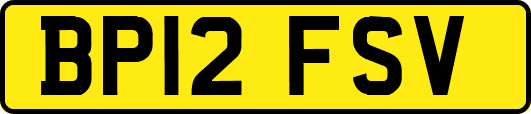 BP12FSV