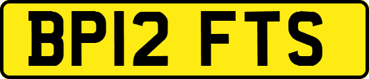 BP12FTS