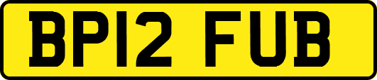 BP12FUB