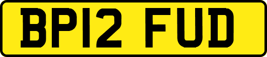 BP12FUD