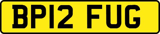 BP12FUG