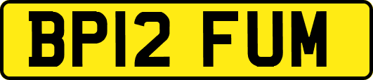 BP12FUM