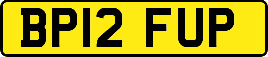 BP12FUP