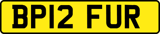 BP12FUR