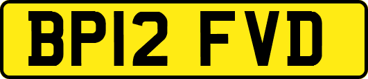 BP12FVD