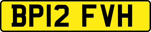 BP12FVH