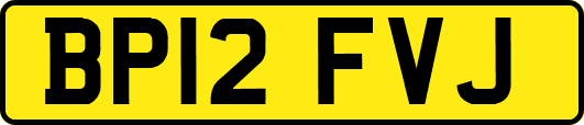BP12FVJ