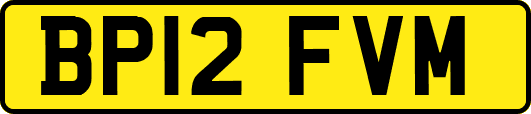 BP12FVM