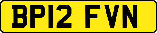 BP12FVN