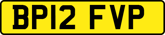 BP12FVP