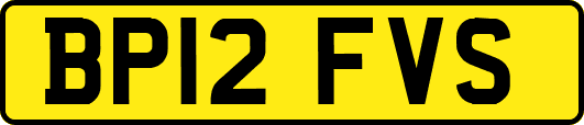 BP12FVS