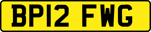 BP12FWG