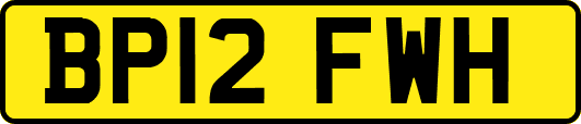 BP12FWH