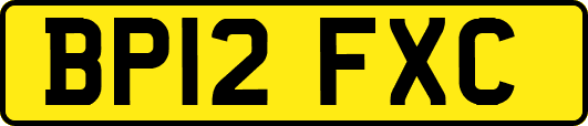 BP12FXC