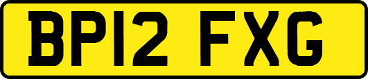 BP12FXG