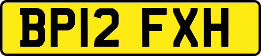 BP12FXH