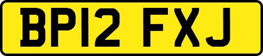 BP12FXJ