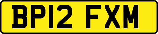 BP12FXM