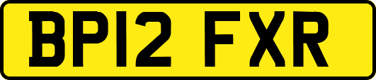 BP12FXR