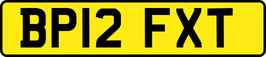 BP12FXT