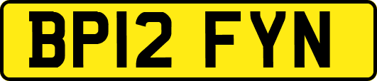 BP12FYN