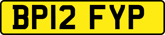 BP12FYP