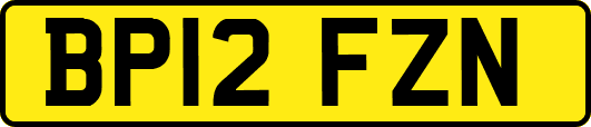 BP12FZN