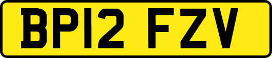BP12FZV