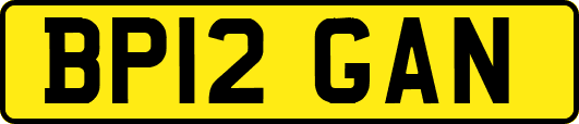 BP12GAN
