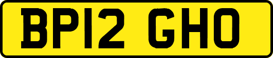 BP12GHO
