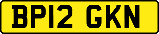 BP12GKN