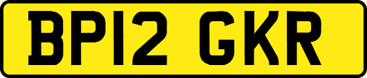 BP12GKR