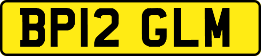 BP12GLM
