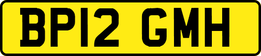 BP12GMH